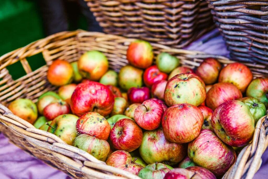 biologische appels kindervoeding
