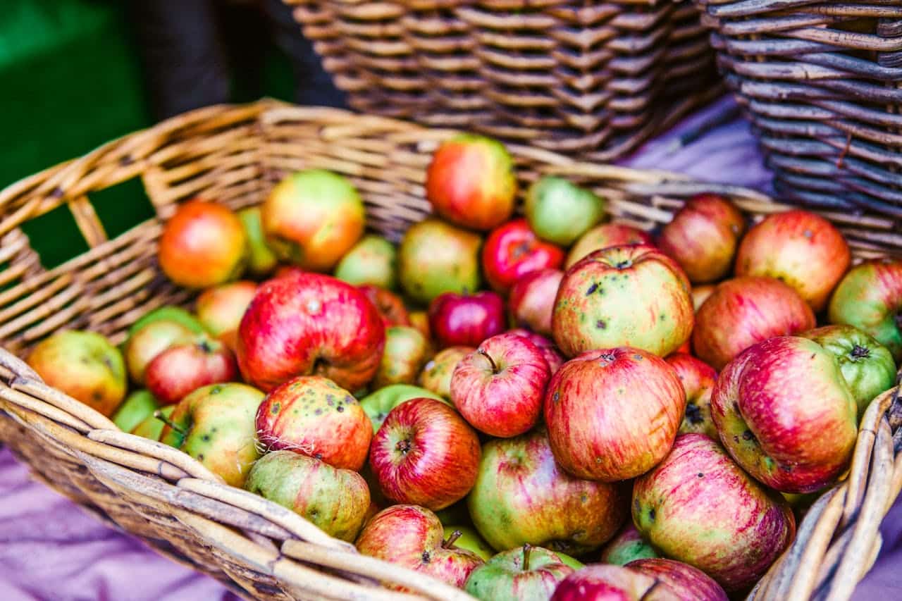 "Nee, dat is biologisch, daar doen wij niet aan." biologische appels kindervoeding